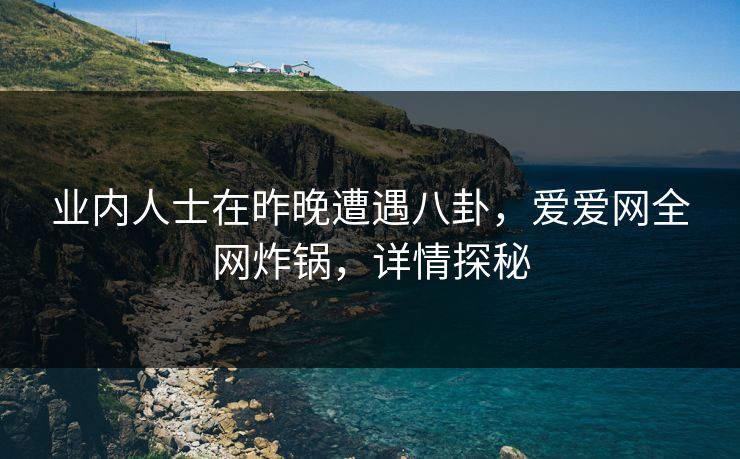业内人士在昨晚遭遇八卦，爱爱网全网炸锅，详情探秘