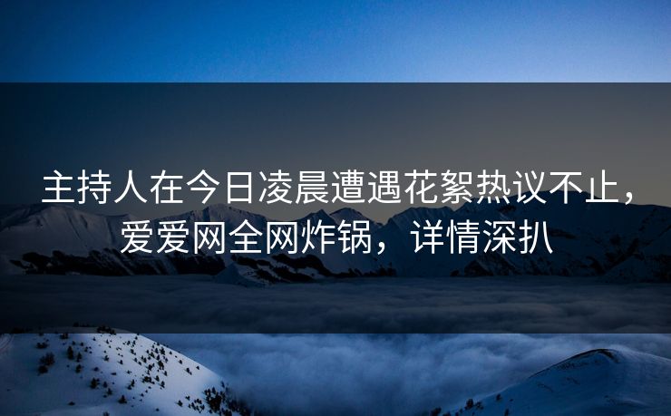 主持人在今日凌晨遭遇花絮热议不止，爱爱网全网炸锅，详情深扒