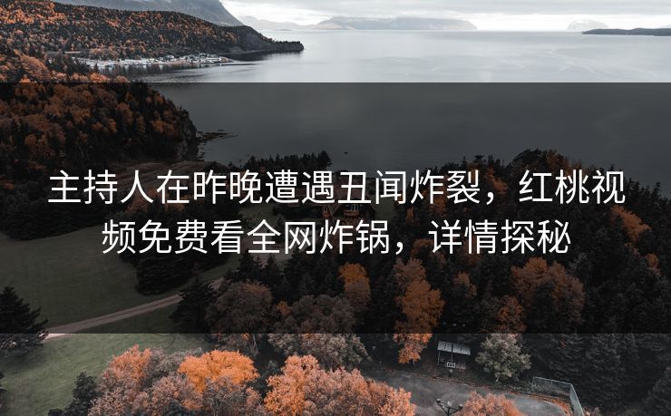 主持人在昨晚遭遇丑闻炸裂，红桃视频免费看全网炸锅，详情探秘