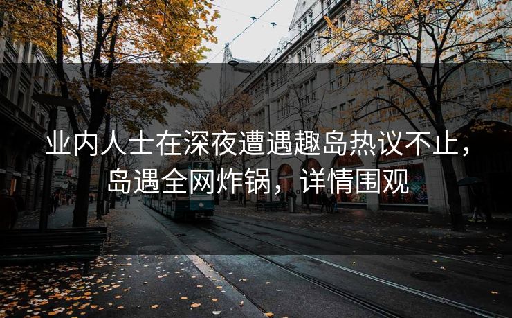 业内人士在深夜遭遇趣岛热议不止，岛遇全网炸锅，详情围观