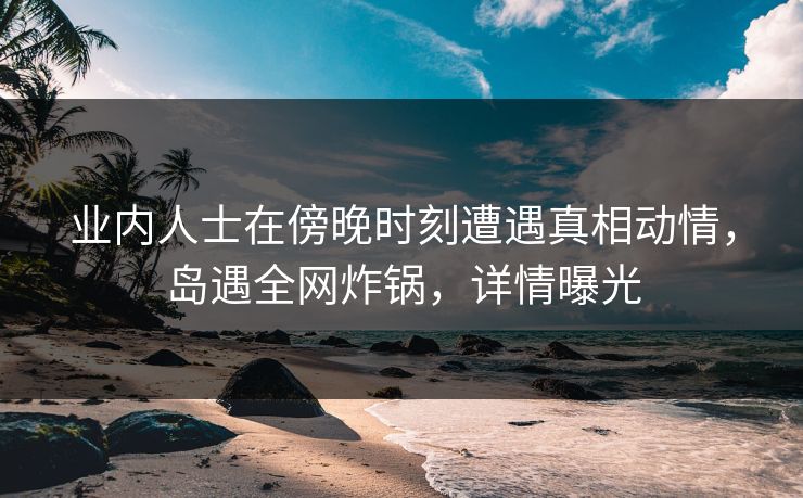 业内人士在傍晚时刻遭遇真相动情，岛遇全网炸锅，详情曝光