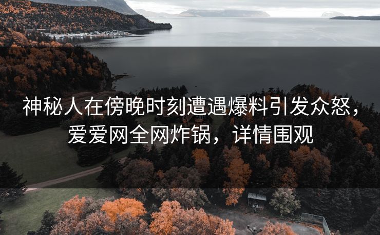 神秘人在傍晚时刻遭遇爆料引发众怒，爱爱网全网炸锅，详情围观