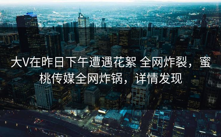 大V在昨日下午遭遇花絮 全网炸裂，蜜桃传媒全网炸锅，详情发现
