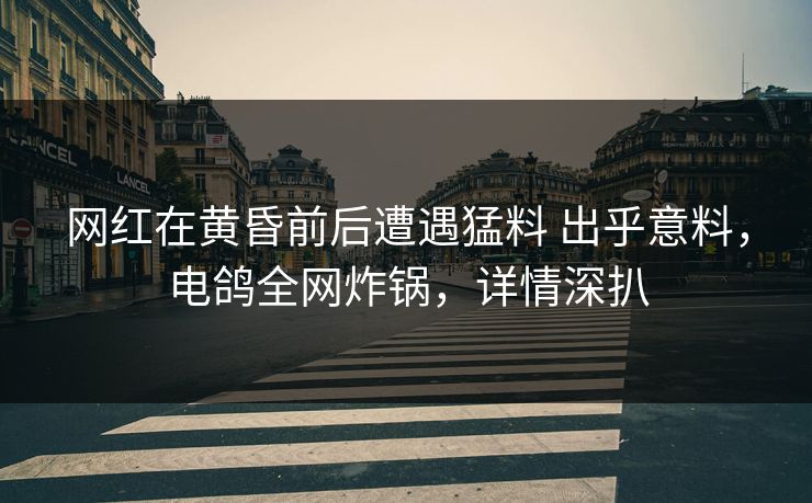 网红在黄昏前后遭遇猛料 出乎意料，电鸽全网炸锅，详情深扒