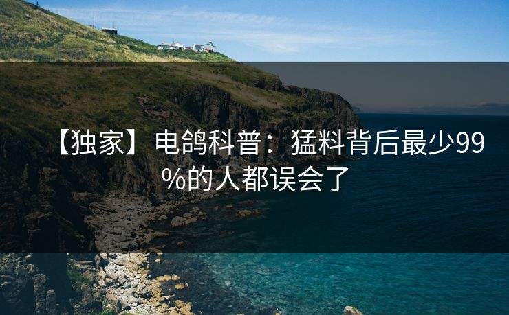 【独家】电鸽科普：猛料背后最少99%的人都误会了