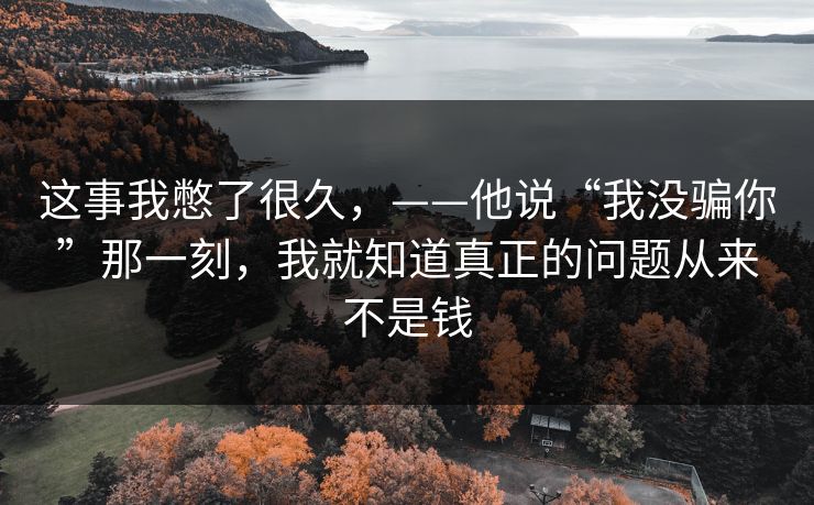 这事我憋了很久，——他说“我没骗你”那一刻，我就知道真正的问题从来不是钱