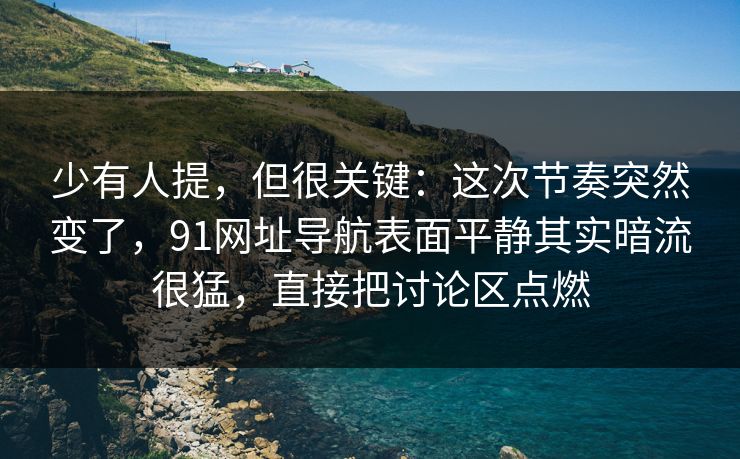 少有人提,但很关键:这次节奏突然变了,91网址导航表面平静其实暗流很猛,直接把讨论区点燃