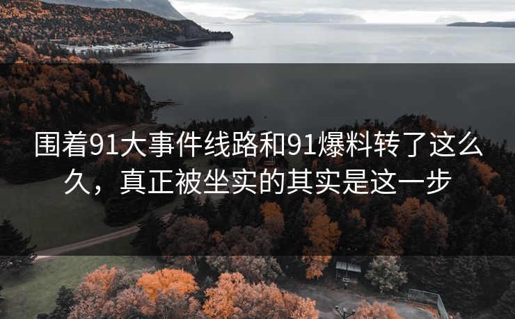 围着91大事件线路和91爆料转了这么久,真正被坐实的其实是这一步